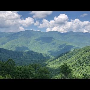 Meet your Posher, Darrin